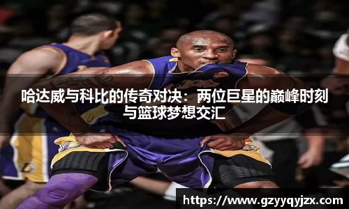 哈达威与科比的传奇对决：两位巨星的巅峰时刻与篮球梦想交汇