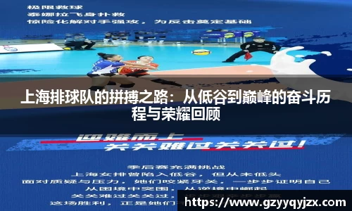 上海排球队的拼搏之路：从低谷到巅峰的奋斗历程与荣耀回顾