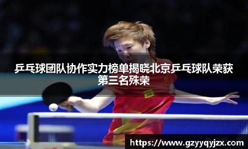 乒乓球团队协作实力榜单揭晓北京乒乓球队荣获第三名殊荣